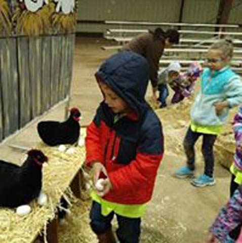 Kerr County Fair
